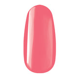 ROYAL GELS