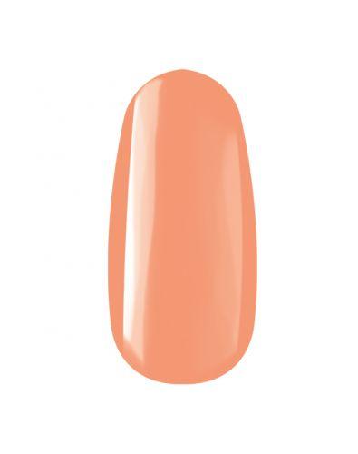 ROYAL GELS 