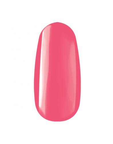 ROYAL GELS 